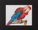 Red Parrot