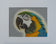 Macaw Parrot