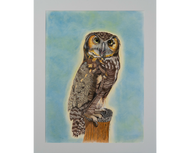 Regal Owl