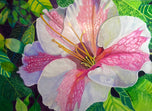 Orchid Flower